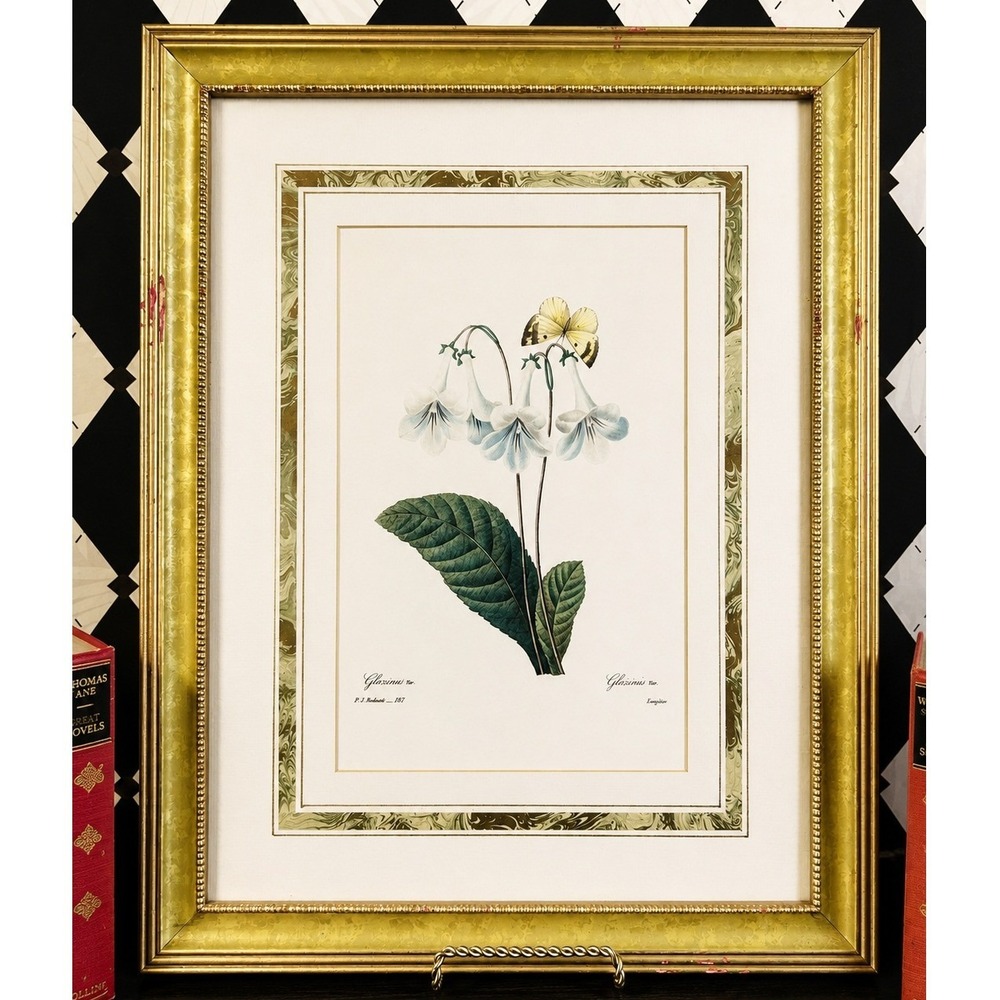 Large Botanical Lithograph Professionally Framed 21" Redouté French Floral Print